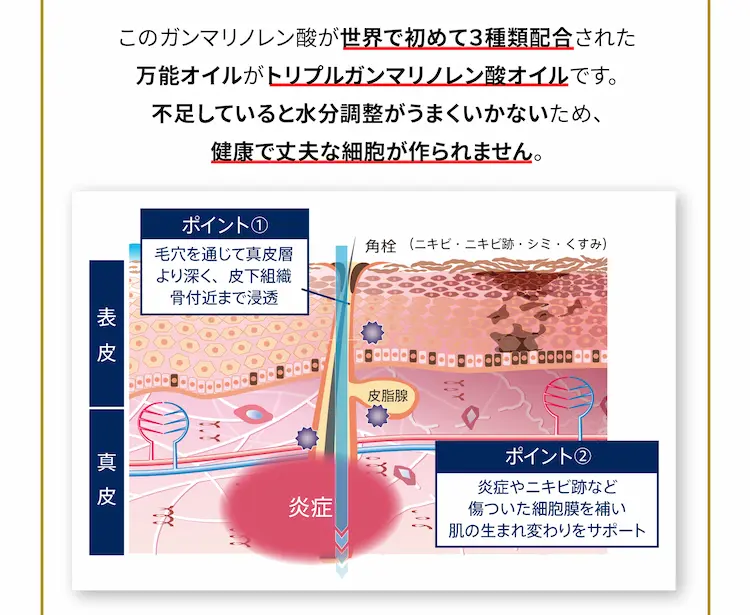このガンマリノレン酸が世界で初めて３種類配合された万能オイルがトリプルガンマリノレン酸オイルです。
不足していると水分調整がうまくいかないため、健康で丈夫な細胞が作られません。