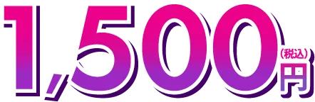 1,500円（税込）
