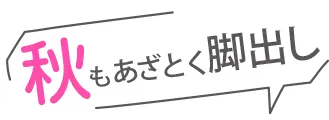 秋もあざとく脚出し