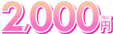 2,000円（税込）