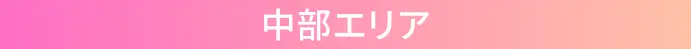 中部エリア