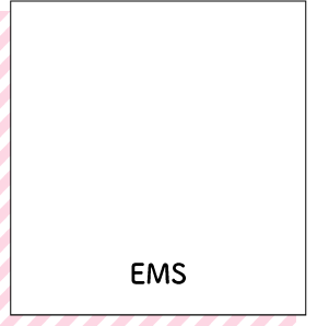 EMS