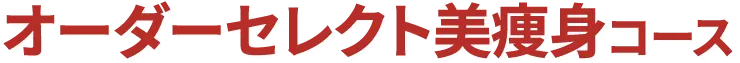 オーダーセレクト美痩身コース