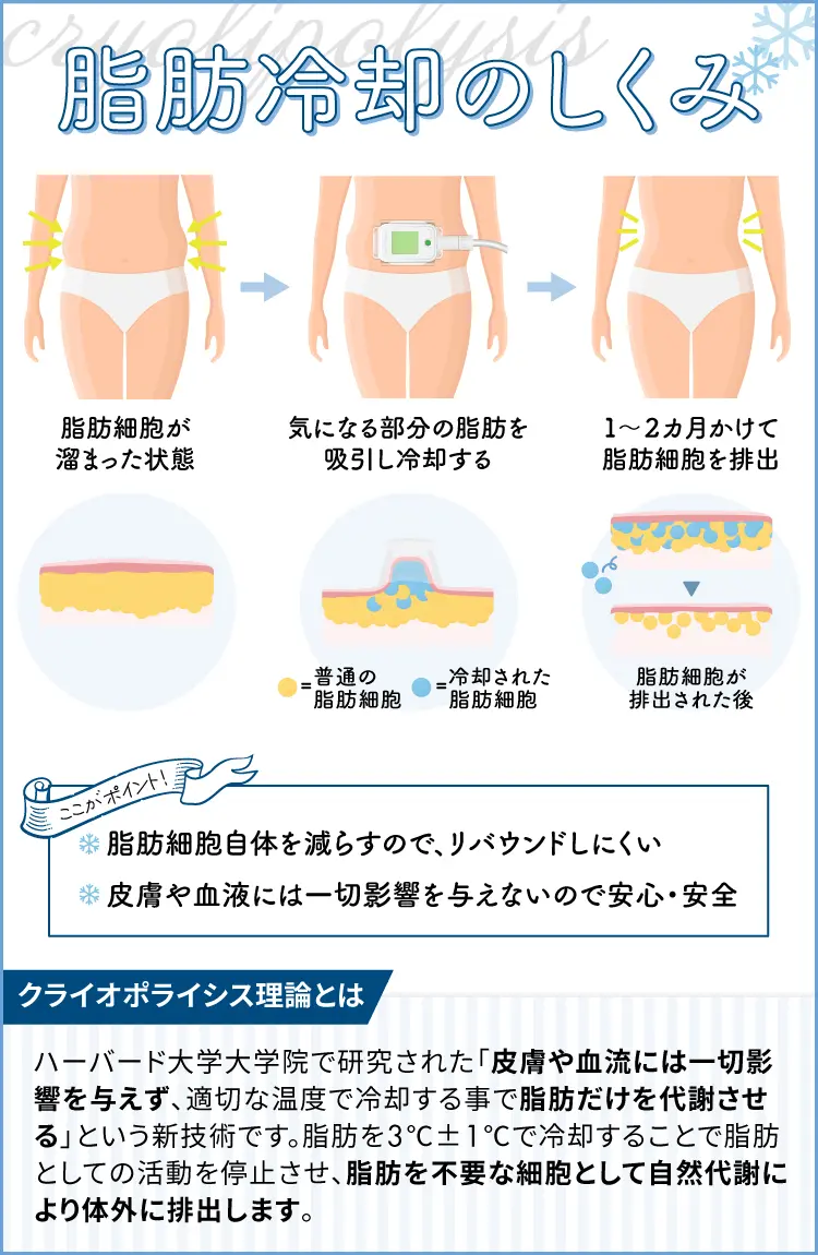 脂肪冷却の仕組み