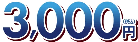 3,000円（税込）