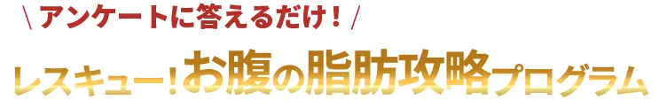 アンケートに答えるだけ！レスキュー！お腹の脂肪攻略プログラム