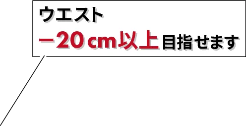 ウエストマイナス20cm以上を目指せます