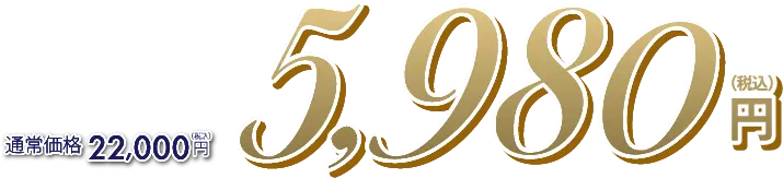 通常価格22,000円（税込）→5,980円（税込）