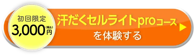 初回限定3,000円（税込） 汗だくセルライトproコースを体験する