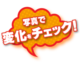 写真で変化をチェック！