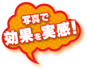 写真で効果を実感！