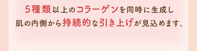 5種類以上のコラーゲンを同時に生成し肌の内側から持続的な引き上げが見込めます。