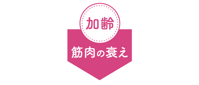 加齢 筋肉の衰え