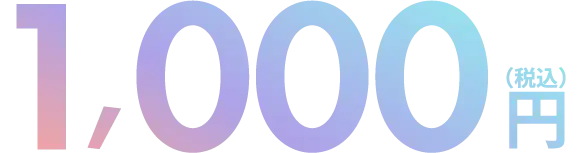1,000円（税込）