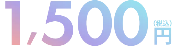 1,500円（税込）