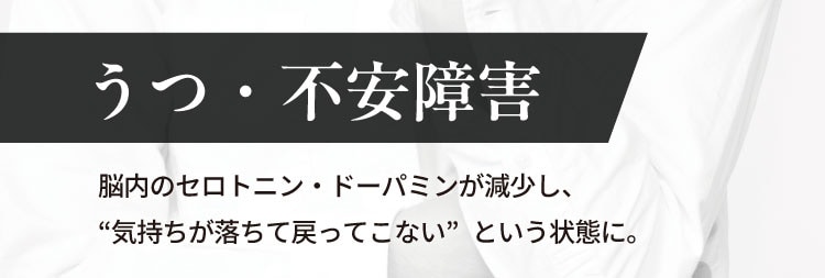 うつ・不安障害
                    脳内のセロトニン・ドーパミンが減少し、
                    “気持ちが落ちて戻ってこない”という状態に。