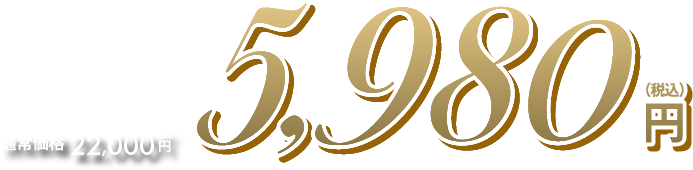 通常価格 22,000円（税込）→5,980円（税込）