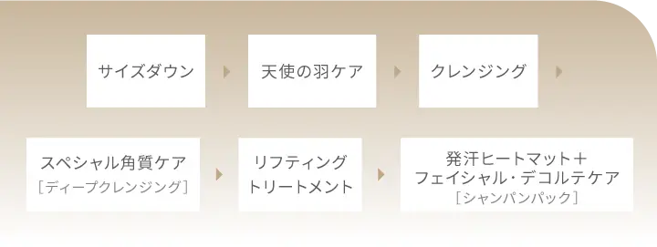 サイズダウン、天使の羽根ケア、クレンジング、スペシャル角質ケア、リフティングトリートメント、発汗ヒートマット プラス フェイシャル・デコルテパック
