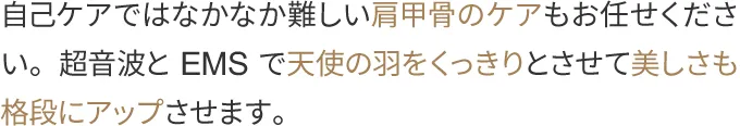 自己ケアではなかなか難しい肩甲骨のケアもお任せください。超音波とEMSで天使の羽をくっきりとさせて美しさも格段にアップさせます。
