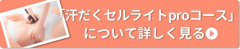 「汗だくセルライトproコース」について詳しく見る