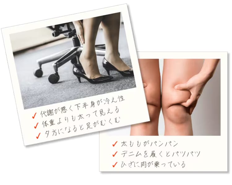 メソセルライト撃退コース（レディス）4
