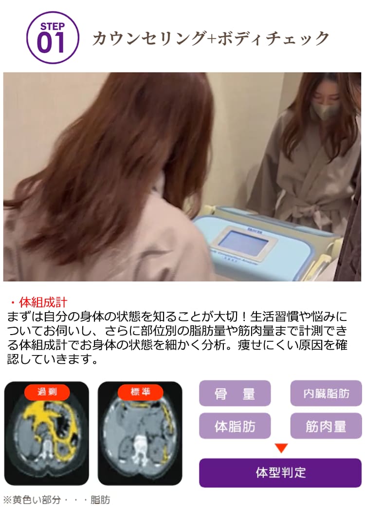 メソセルライト撃退コース（レディス）10