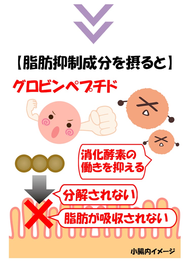 メタックα9