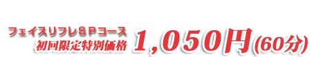 �t�F�C�X���t��SP�R�[�X ���������ʉ��i1,050�~