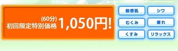 ���������ʉ��i1,050�~