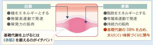 ؓƊbӂ̊֌W bӂグɂ́sԋ؁tb̂C`oI