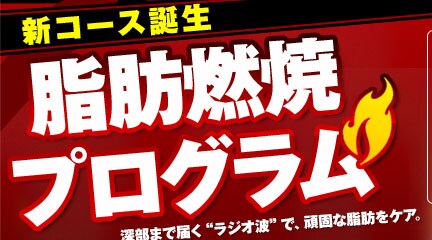 bRSPvO [܂œ͂gWIghŁAłȎbPAB