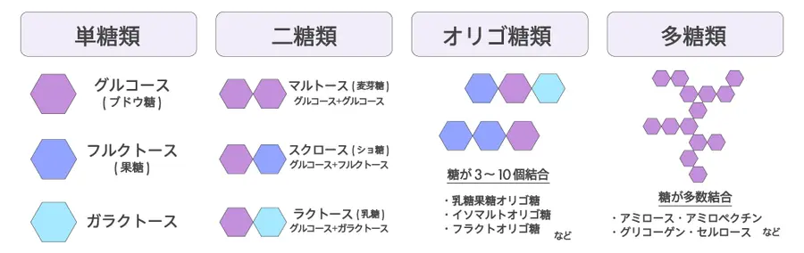 糖質の種類と特徴