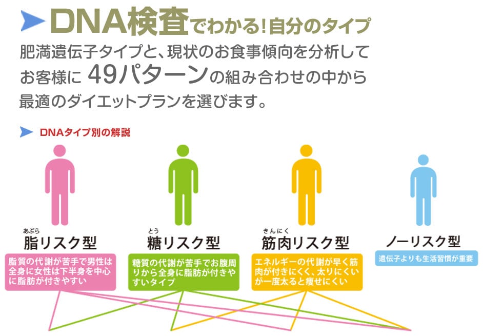 DNA�Ŏ��������̃_�C�G�b�g���j���[