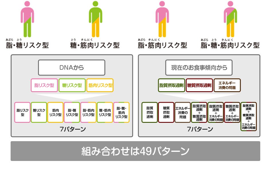 DNA�Ŏ��������̃_�C�G�b�g���j���[