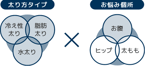 太り方タイプ(冷え性太り、脂肪太り、水太り)×お悩み個所（太もも、お腹、ヒップ） 結果にこだわるプログラム のイメージ画像