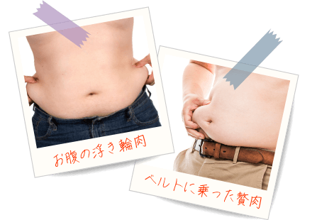 部分痩せしたい イメージ SP用 (ぽっこりお腹・浮き輪肉/太もものボコボコ・ブヨブヨ/垂れ尻・デカ尻・四角いお尻)