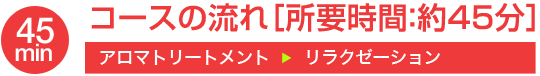 45min コースの流れ[所要時間：約45分]